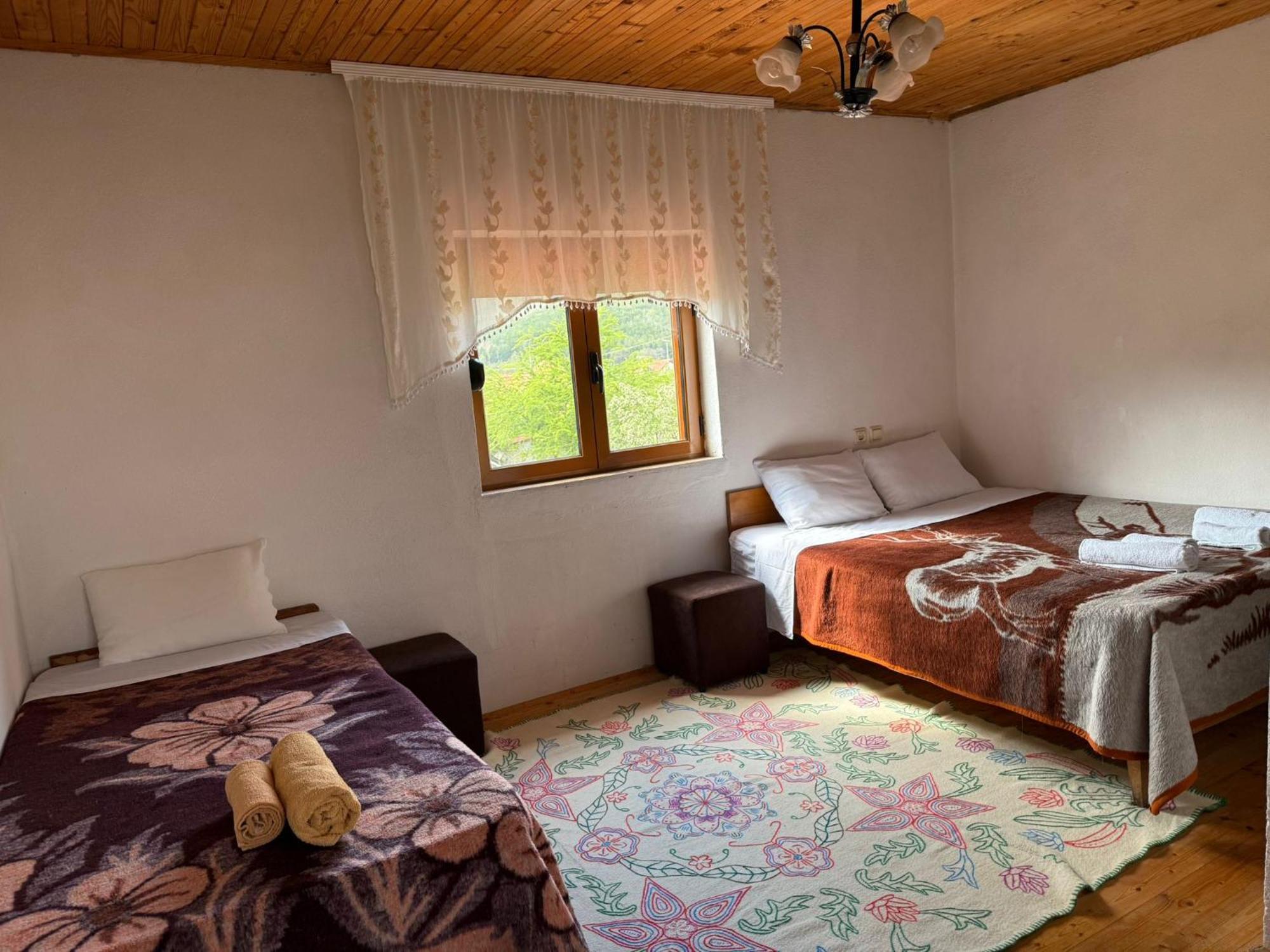 Prespa'S Balcony Guesthouse Dolna Gorica Экстерьер фото