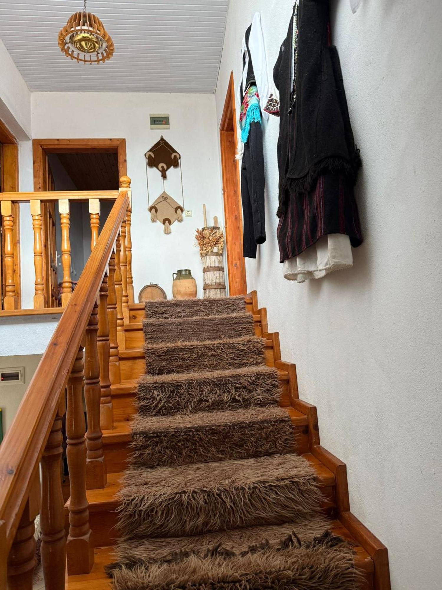 Prespa'S Balcony Guesthouse Dolna Gorica Экстерьер фото